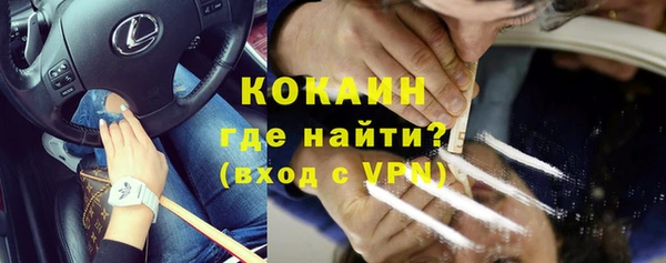 ешки Гусев