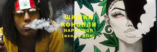 мдпв Горняк