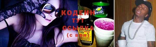 дмт Горно-Алтайск