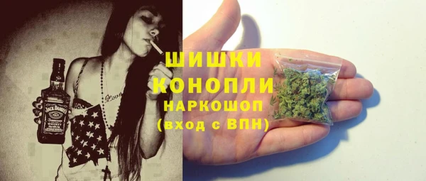 мдпв Горнозаводск