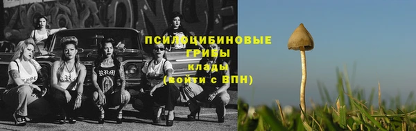 мдпв Горняк