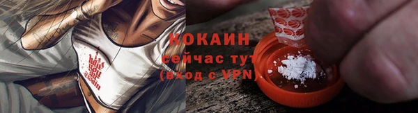 мдпв Горнозаводск