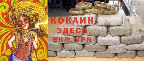 дмт Горно-Алтайск