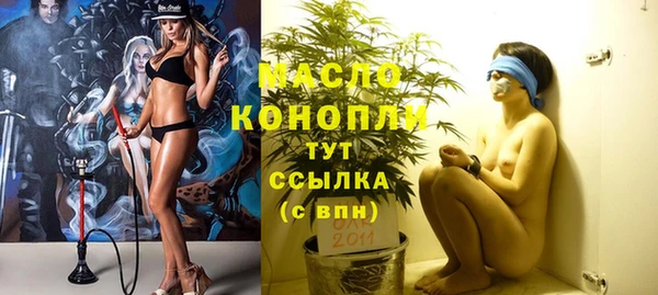 мдпв Горняк