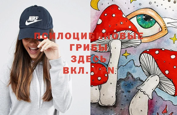мдпв Горнозаводск