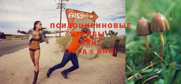дмт Горно-Алтайск