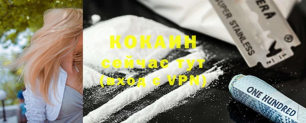 мдпв Горняк