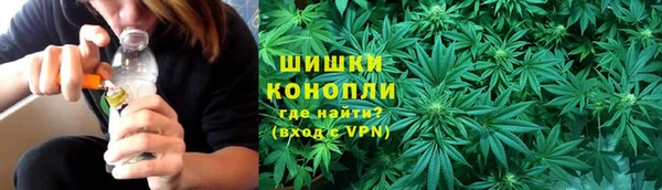 мдпв Горнозаводск