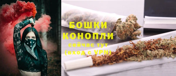дмт Горно-Алтайск